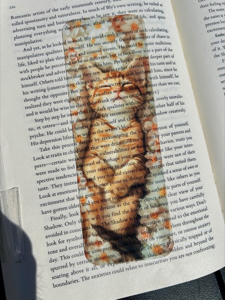 Adorable Sleeping Orange Tabby Kitten… stained glass bookmark